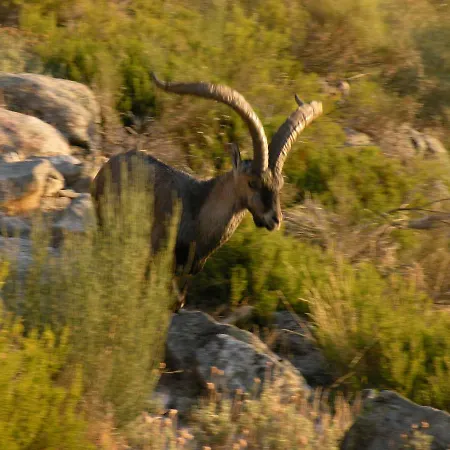 El Rincon De La Vera