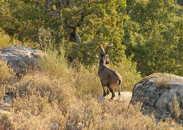 Gasthuis El Rincon De La Vera 3*