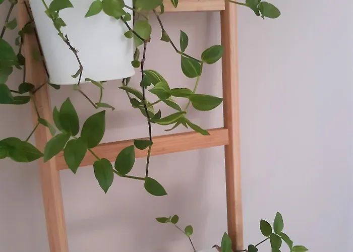 El Rincon De La Vera Affittacamere Losar De La Vera